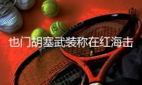 也门胡塞武装称在红海击沉一艘货轮