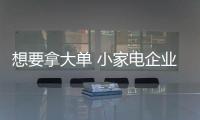 想要拿大单 小家电企业要怎么做