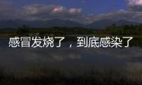 感冒发烧了
，到底感染了啥
？