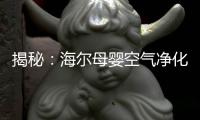 快排公司十年历程，霸屏兔 seo 的崛起与坚守