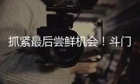 抓紧最后尝鲜机会！斗门御金球荔枝销售接近尾声