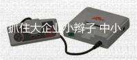 抓住大企业小辫子 中小汽车照明企业不再被蹂躏
