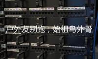 户外友别跑
，始祖鸟外骨骼裤来一条？