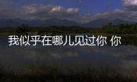 我似乎在哪儿见过你 你是央视上的丰叶板材
！