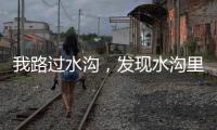 我路过水沟，发现水沟里有两个年轻女子，水沟旁边站着一个小伙子