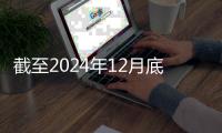 截至2024年12月底
，全国共有少先队员1.13亿名
