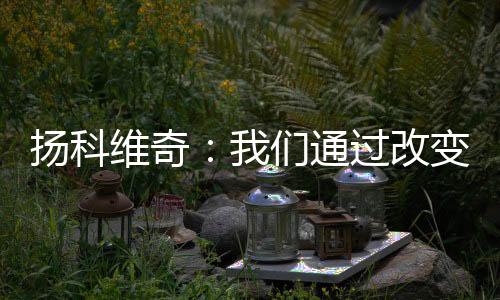 取得了积极的得积但欠效果