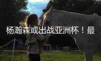 杨瀚森或出战亚洲杯！最担心的还是来了
：姚明的教训忘了吗	？