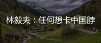 林毅夫：任何想卡中国脖子的做法，只会加速中国进步