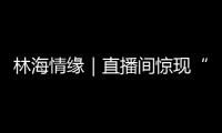 林海情缘｜直播间惊现“野性暴击”! 珞巴族刀舞在牡丹花海中上演“刚柔并济”