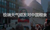 极端天气频发对中国粮食生产有何影响？