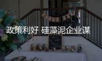 政策利好 硅藻泥企业谋发展产品自身仍是关键