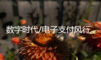 数字时代/电子支付风行内地�：用过谁愿放手