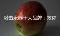 敲击乐器十大品牌	：教你保养小提琴
