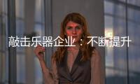敲击乐器企业
：不断提升自身 将大数据转化为竞争优势