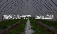 摄像头新守护，远程监测更放心