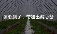 暑假到了，带娃出游必备！儿童铁路购票四大要点