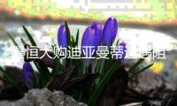 快排公司十年历程，霸屏兔 seo 的崛起与坚守