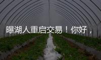 曝湖人重启交易！你好
，维金斯！NBA争冠球队新宠儿