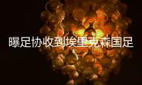 曝足协收到埃里克森国足主帅自荐信 将和富力沟通