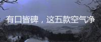有口皆碑�，这五款空气净化器品牌是夏季最好的选择