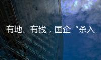 有地、有钱�	，国企“杀入”养猪业