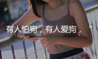 有人怕狗�，有人爱狗，“宠物友好”空间能否消除对立
？