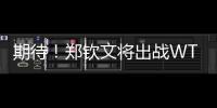 期待
！郑钦文将出战WTA500华盛顿站比赛