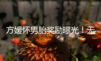 方媛怀男胎奖励曝光！无限额信用卡、亿元豪礼，父母保姆轮流伺候
