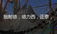 施耐德	，德力西，正泰，西门子，飞雕，公牛�，哪个品牌好?