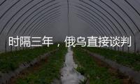 时隔三年
，俄乌直接谈判重启
