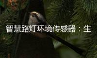 智慧路灯环境传感器：生态+城市建设