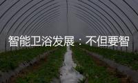 智能卫浴发展：不但要智能 更要有品位