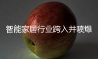 智能家居行业跨入井喷爆发期，TCL智能门锁抢夺先机