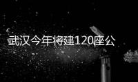 武汉今年将建120座公园及100公里绿道