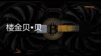 楼金贝•贝壳粉