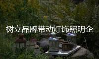 树立品牌带动灯饰照明企业发展
