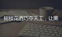 树枝花洒巧夺天工	，让美在世界流淌