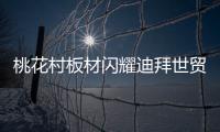 桃花村板材闪耀迪拜世贸中心，以匠心品质征服国际市场