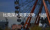 比克深入夏季攻势，仙桃市场开门红