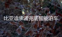 比亚迪承诺兜底智能泊车	
！媲美L4级体验	，出了问题官方赔付