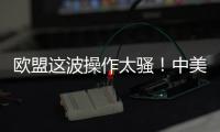欧盟这波操作太骚！中美刚要联手绞杀�，它竟想左右逢源
？