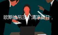 欧斯迪吊顶丨清凉夏日，年“粽”大礼惊喜来袭