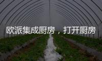欧派集成厨房，打开厨房设计新方向丨欧派橱柜