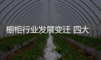 橱柜行业发展变迁 四大变化预见未来趋势
