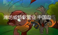 潍坊威特尔管业 中国沟槽式管接件的专业化生产基地