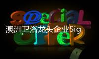 快排公司十年历程，霸屏兔 seo 的崛起与坚守