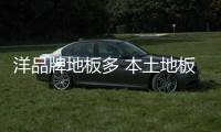 洋品牌地板多 本土地板企业需修炼自身实力