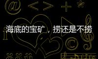 海底的宝矿，捞还是不捞

？｜世界海洋日