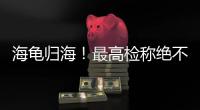 海龟归海	！最高检称绝不放纵破坏资源环境非法行为